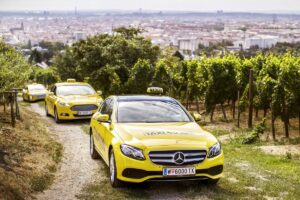 Taxi40100 Fahren durch ein Weingebirge